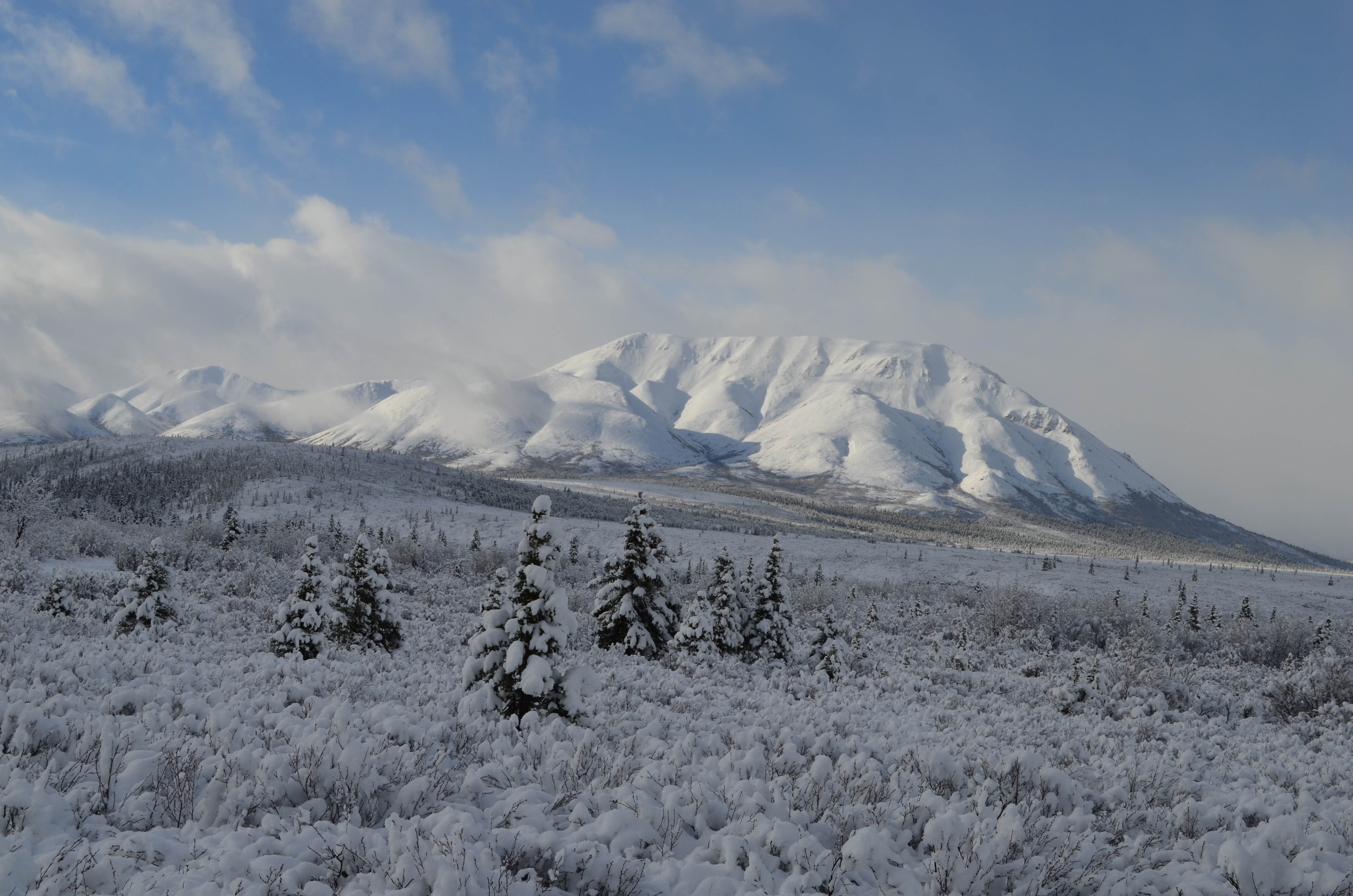 ./2017/08 - Alaska Cruise/03 - Denali/DSC_0244.JPG